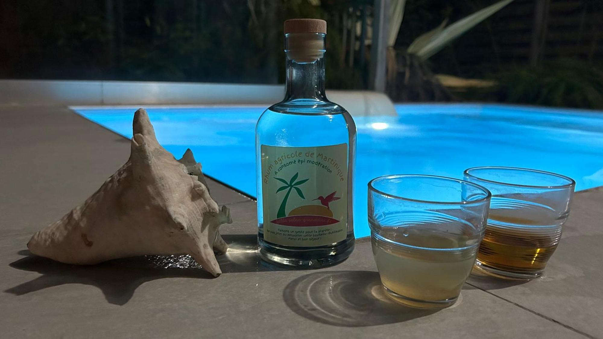 La Villa Jalna Grenadine Deux Chambres Et Piscine Privee Les Trois-Ilets Bagian luar foto